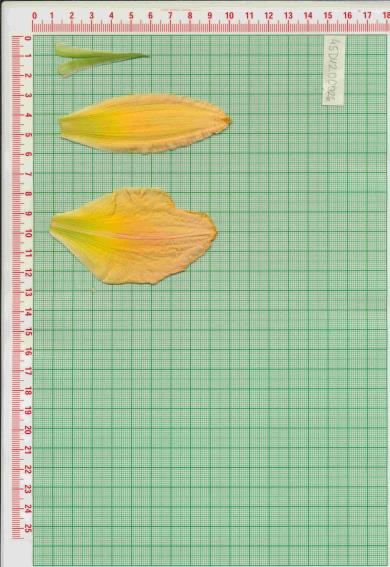 Click for 1 image(s) for this accession.