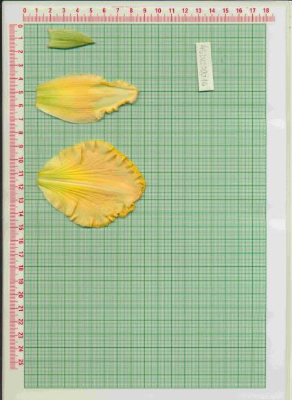 Click for 1 image(s) for this accession.