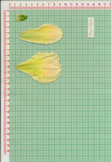 Click for 1 image(s) for this accession.