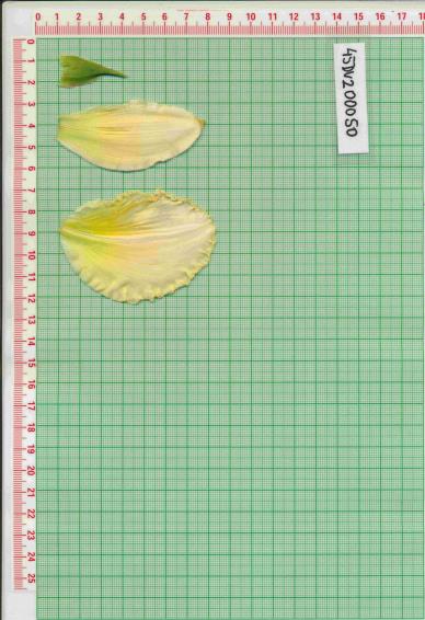 Click for 1 image(s) for this accession.