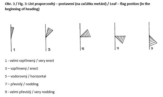 018 Leaf - flag - position (in the beginning of heading)